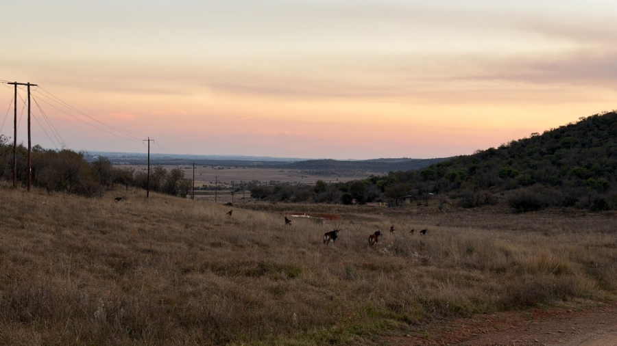 Commercial Property for Sale in Lekwena Wildlife Estate North West